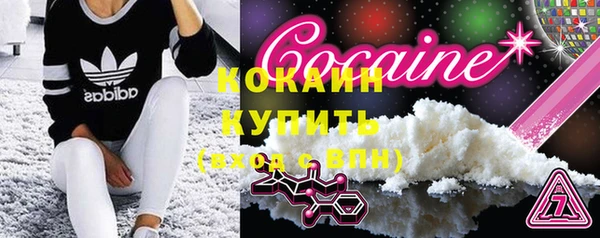 метадон Няндома