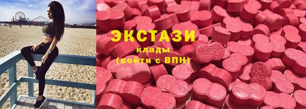 прущие грибы Новозыбков