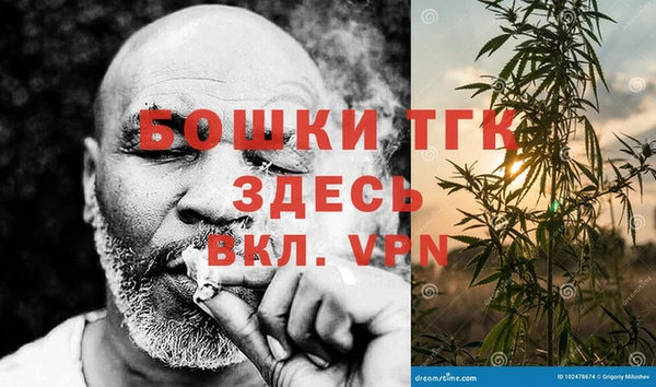 соль ск Ивангород