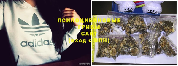 метадон Няндома