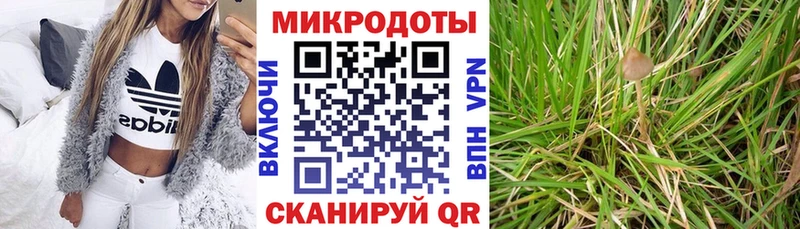 Псилоцибиновые грибы Cubensis  где купить наркоту  Лихославль 