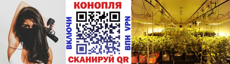 дарнет шоп  Лихославль  Шишки марихуана семена 